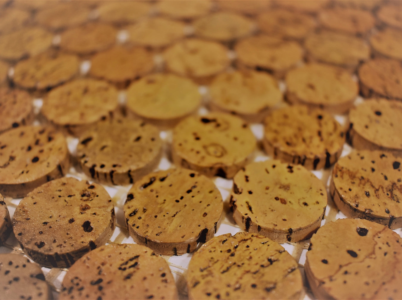 Modwalls CorkDotz Cork Tile | Sustainably sourced cork penny round tile for kitchens, backsplashes, bar areas, bathrooms and spas.