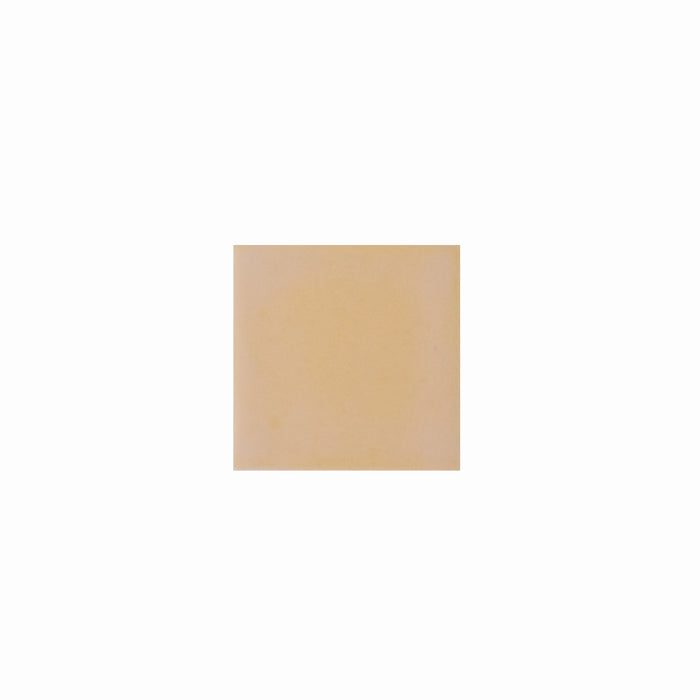 ModMix Color Chip Sample | Dijon Matte