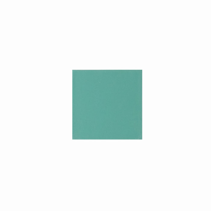 Basis Color Chip Sample | Fiji Matte