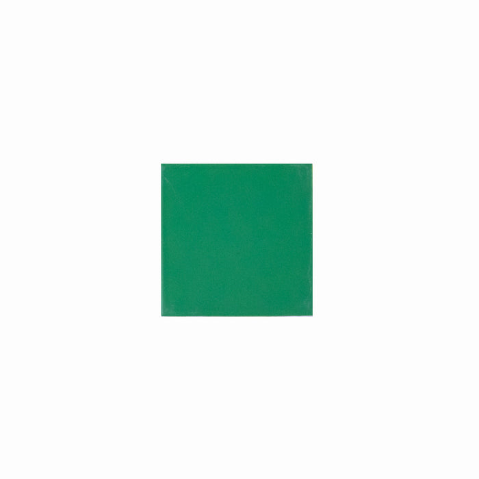 Basis Color Chip Sample | Kelly Green Matte