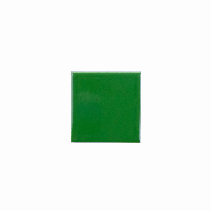 Basis Color Chip Sample | Kelly Green