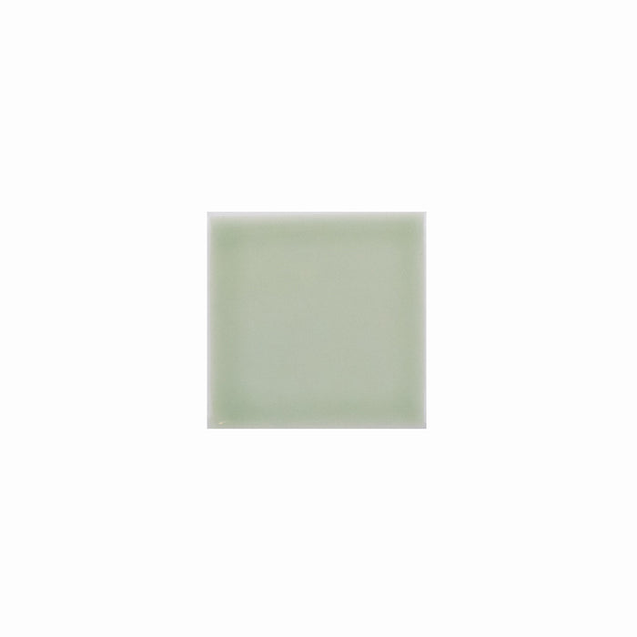 Basis Color Chip Sample | Sea Mist