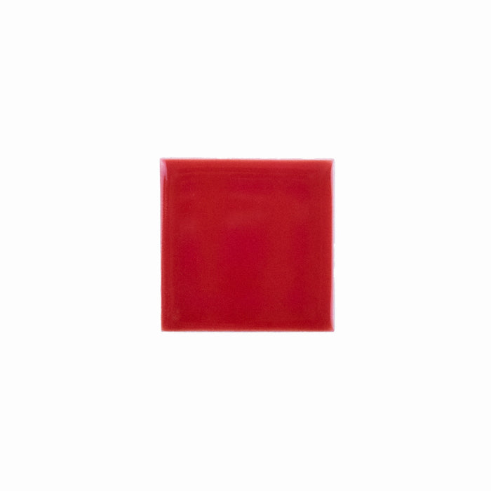 Basis Color Chip Sample | Strawberry