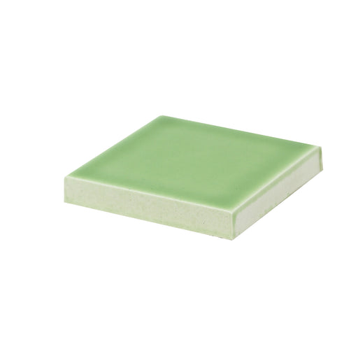 Modwalls Color Chip | Kiln & Clayhaus Ceramic | Succulent