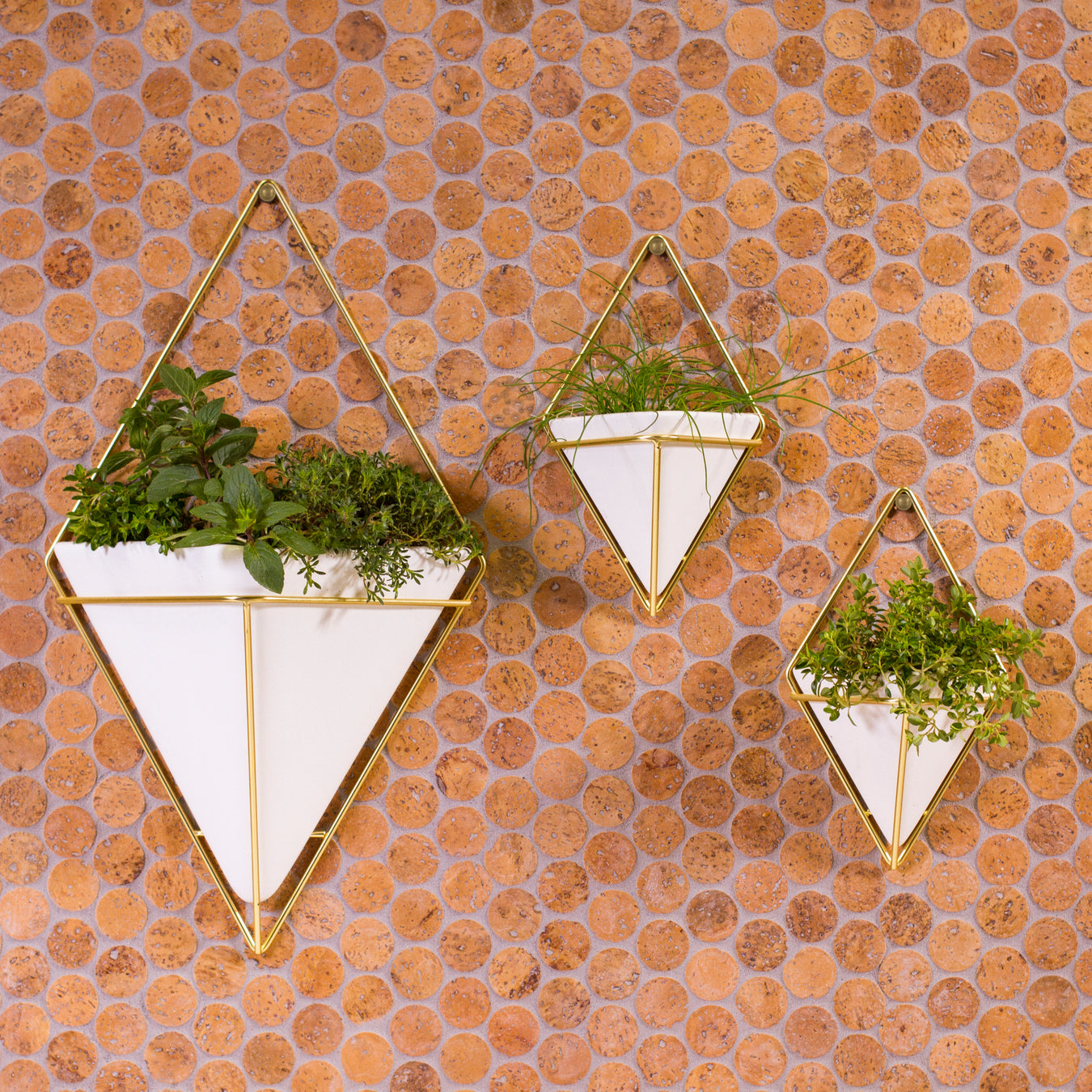 CorkDotz Cork Penny Round Tile