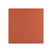 Modwalls | ColorBlock Porcelain Floor & Outdoor Tile | Canyon | Red