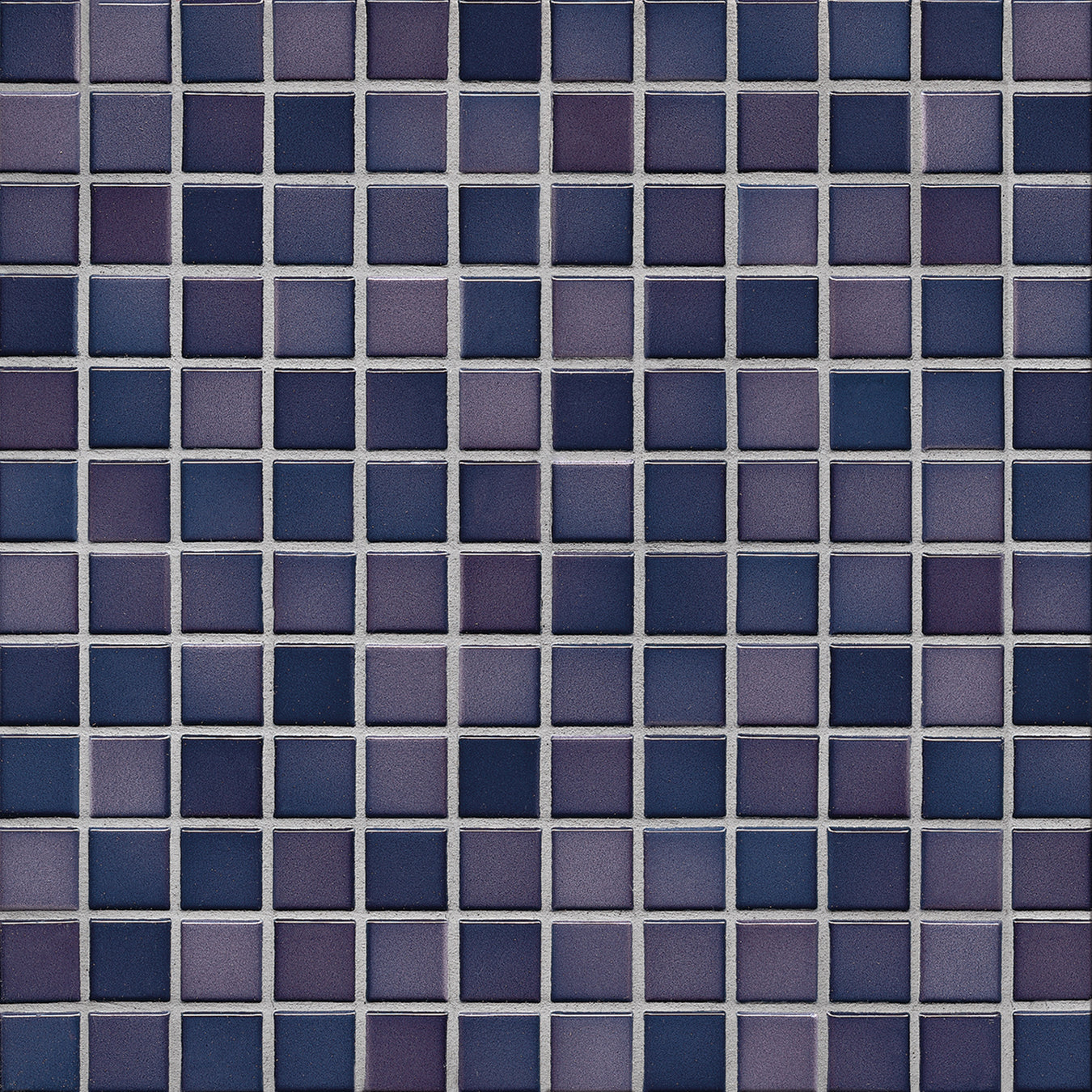 Purple Mediterranean