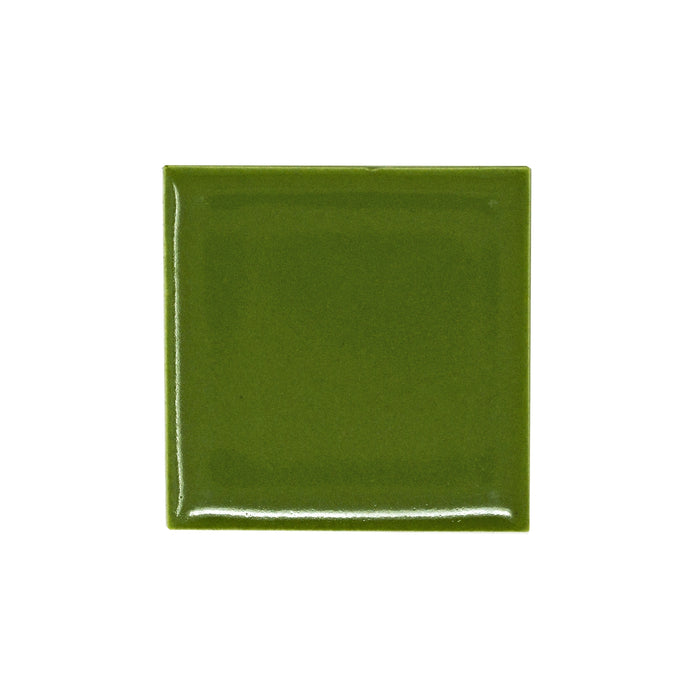Modwalls Color Chip | Kiln & Clayhaus Ceramic | Fern 