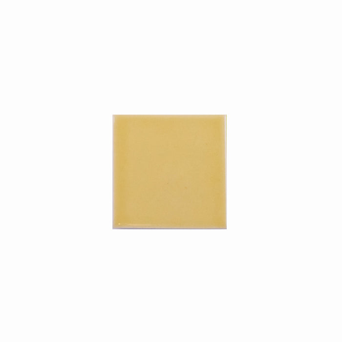 Basis Color Chip Sample | Dijon
