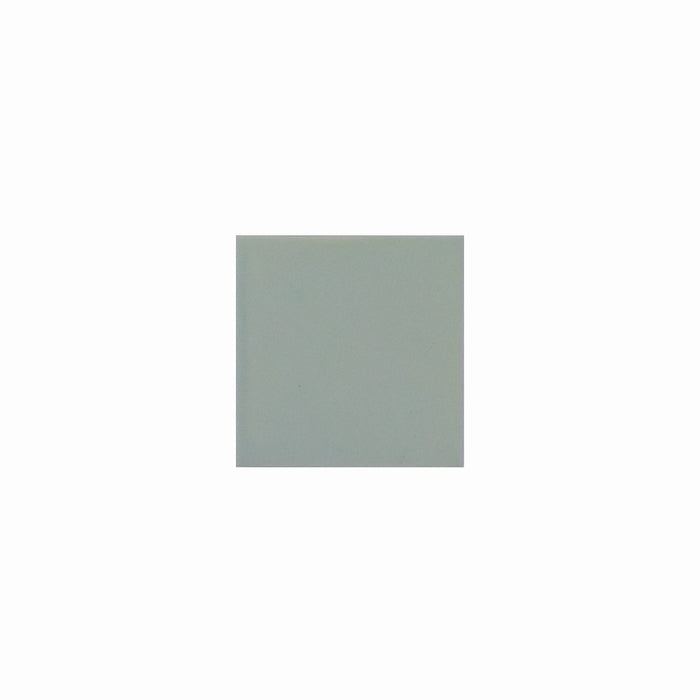 Basis Color Chip Sample | Fieldstone Matte