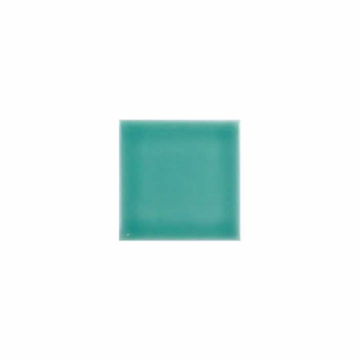 Basis Color Chip Sample | Fiji