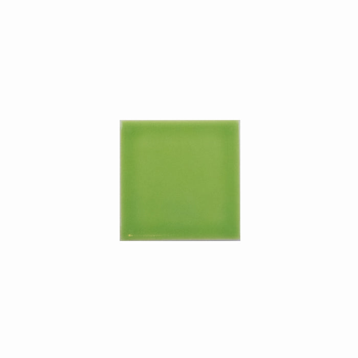 Basis Color Chip Sample | Kiwi