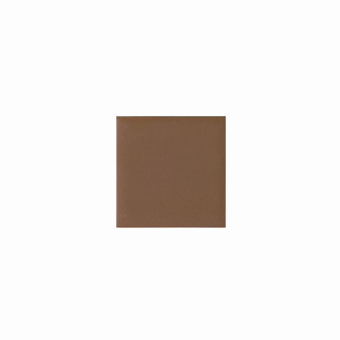 Basis Color Chip Sample | Mushroom Matte