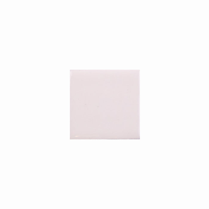 Basis Color Chip Sample | Pearl