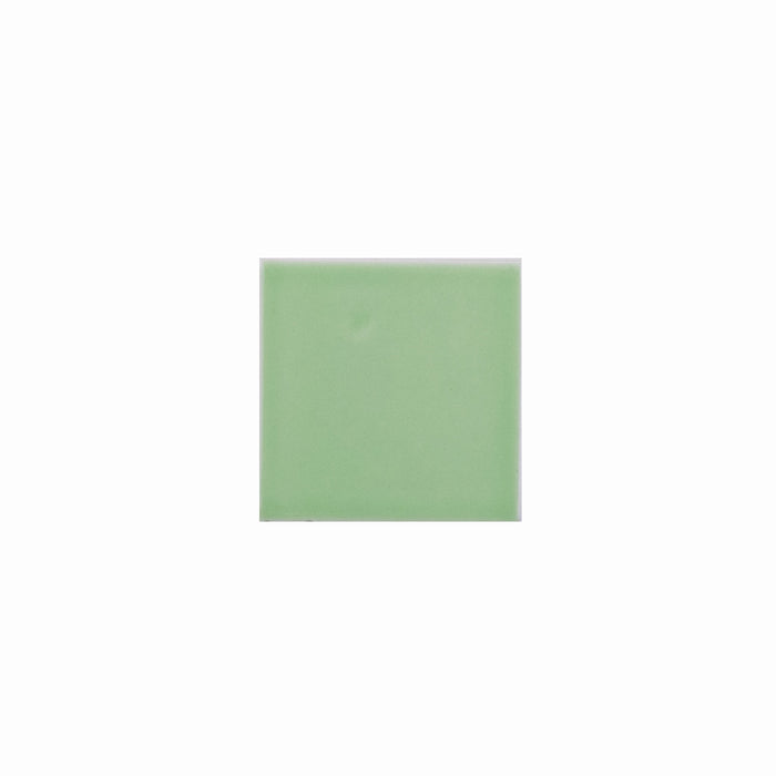 Basis Color Chip Sample | Peppermint