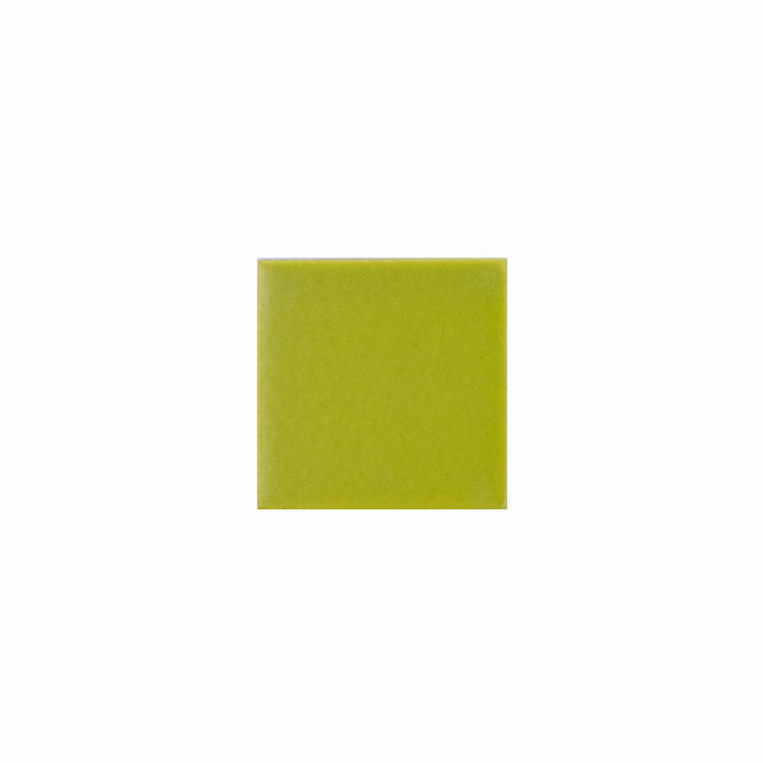 Basis Color Chip Sample | Serpentine Matte
