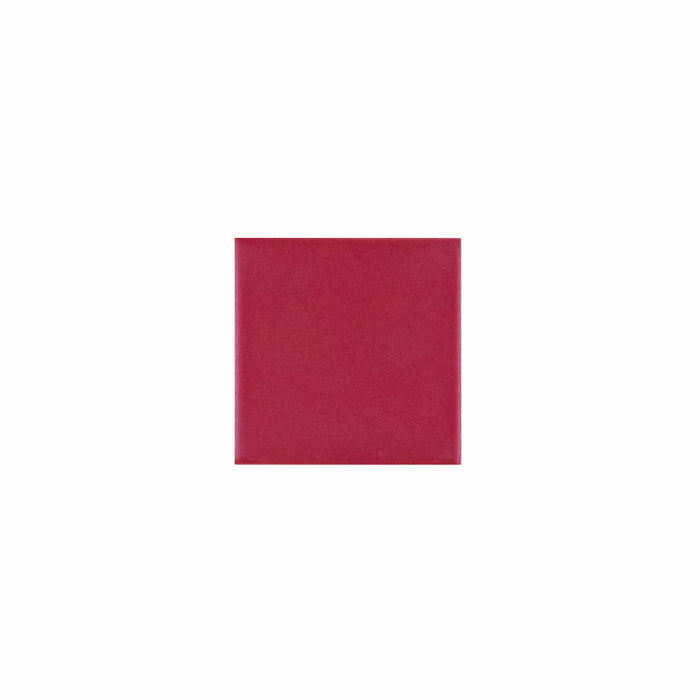 Basis Color Chip Sample | Strawberry Matte