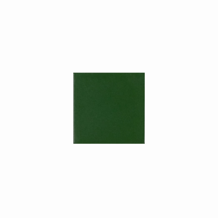 Basis Color Chip Sample | Woodlands Matte