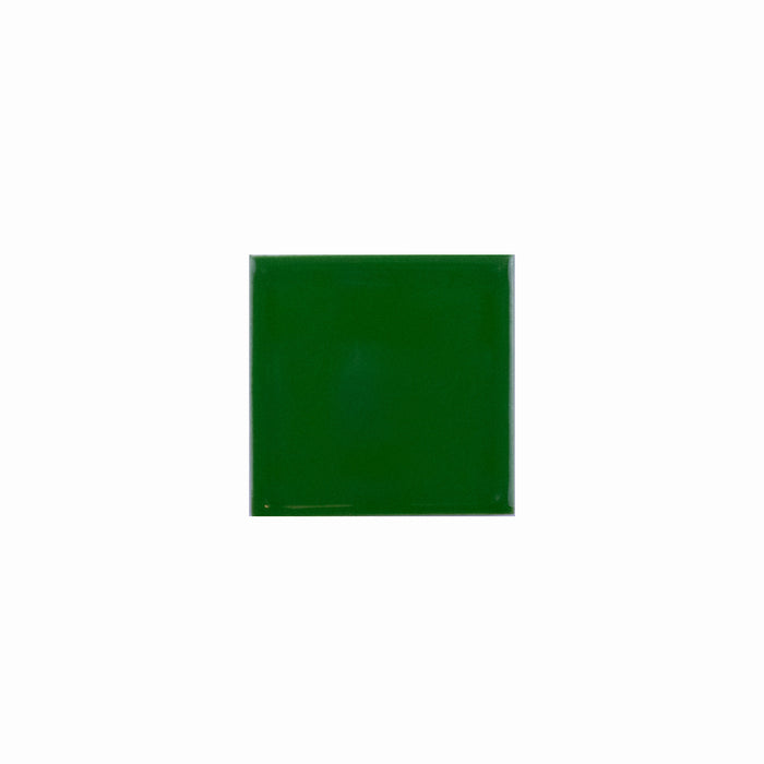 Basis Color Chip Sample | Woodlands